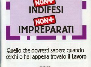 La copertina della guida