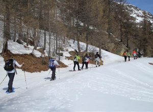 Verso la radura di Joux con le ciaspole