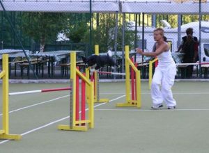 Claudia Cavicchi con Shark