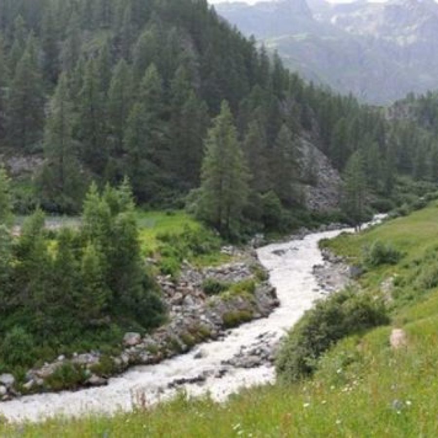 Il vallone di Cortlys