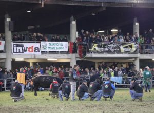 croix noire batailles de reines