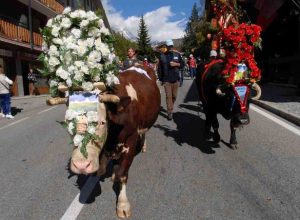 Désarpa a Valtournenche