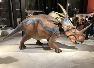 dinosauri in carne e ossa