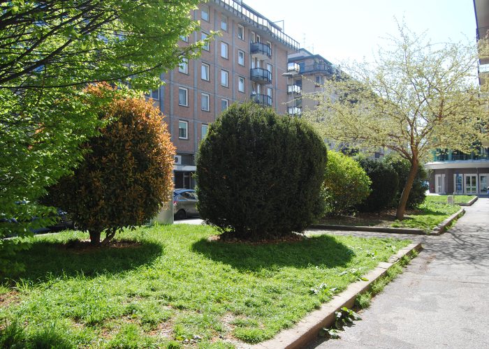 Un'area verde nella città di Aosta