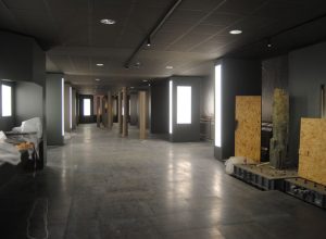 L'Area Megalitica di Saint-Martin-de-Corléans