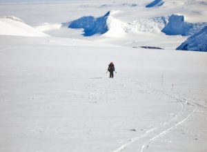 Il campo