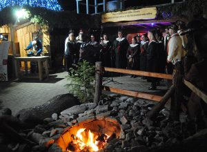 Marché Vert Noël 2017