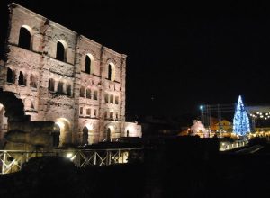 Marché Vert Noel 2013