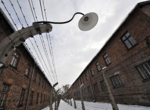 Treno della memoria 2010