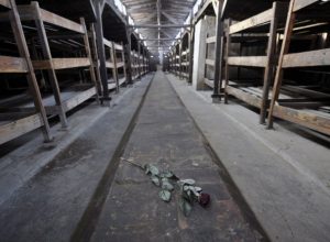 Treno della memoria 2010