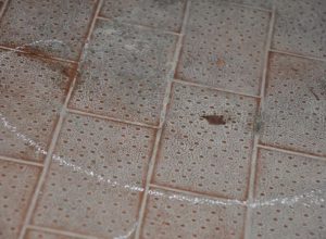 Il sangue nel garage
