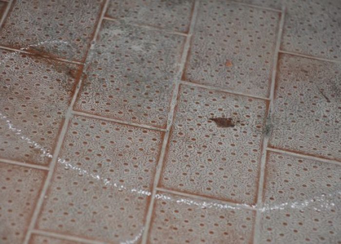 Il sangue nel garage