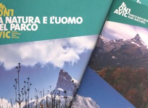 Nuova immagine coordinata Mont Avic