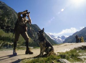Cani al parco - ph. www.cogneturismo.it