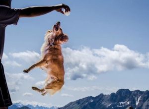 Concorso fotografico Avapa