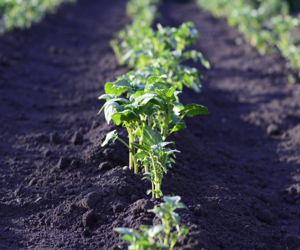 Immagine di repertorio