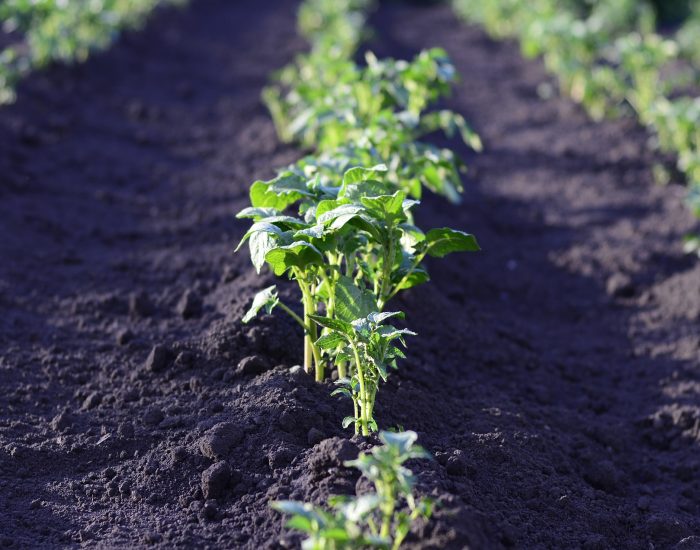 Immagine di repertorio