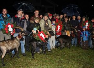 Le finaliste della 13esima Bataille des Chevres