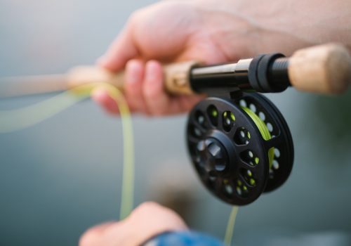 pesca