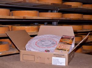 Fontina spedita a Trump