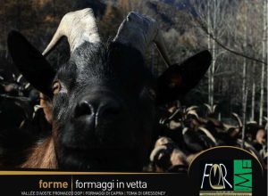 formaggi in vetta