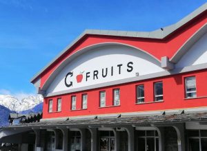 La sede della Cofruits a Saint-Pierre