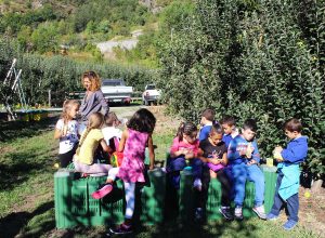 Il progetto di educazione alimentare "Frutta in rete"