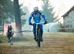 Fabrizio Gallino con Modi