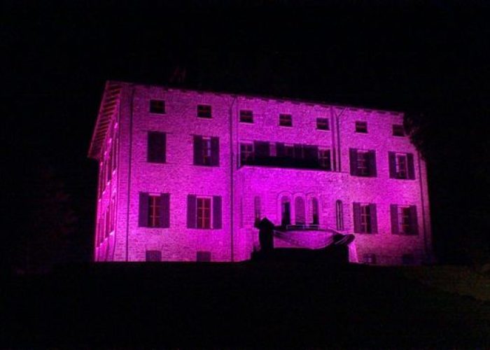 Il castello Baron Gamba in rosa