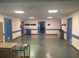 geriatria