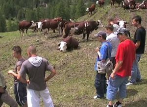 Immagine di archivio - Giovani arpian al lavoro