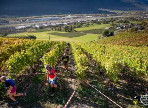 grosjean wine trail foto Davide Verthuy
