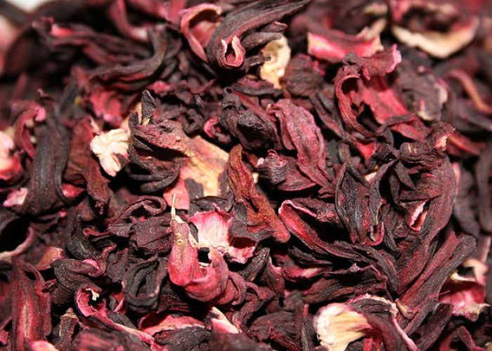 Hibiscus sabdariffa L. droga