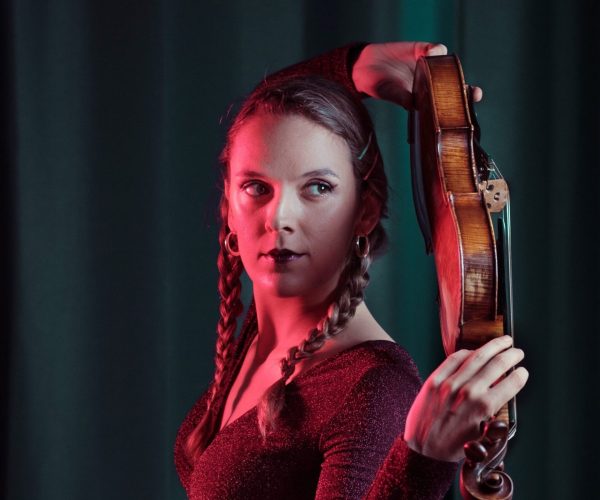 il violino fantastico ()