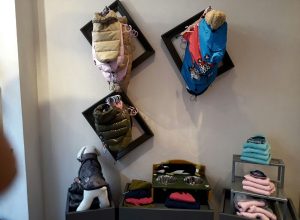 La boutique Chien Chic, ad Aosta