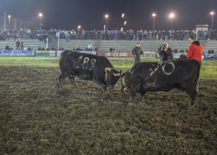 Batailles finale 2013