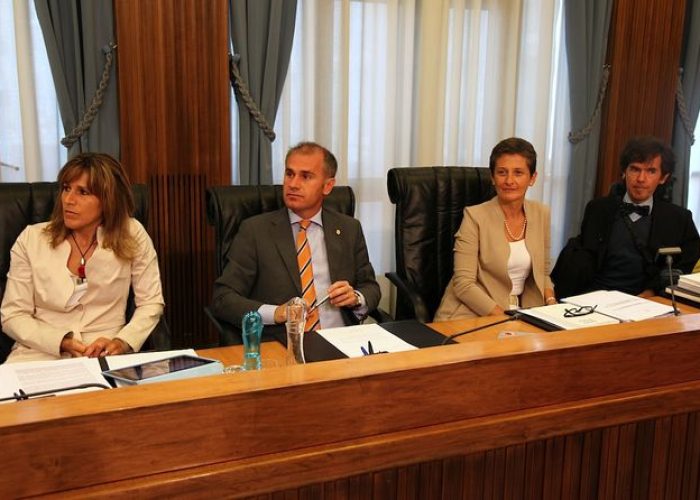 Consiglio regionale XIV