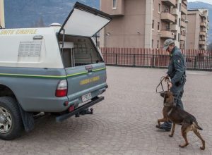 Guardia di Finanza