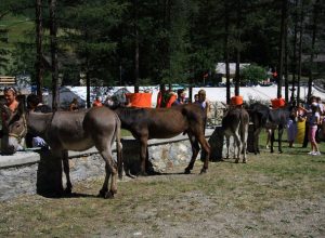 "Fëta à l'Ano" - Il palio"