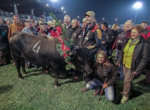 Canaille di Aurelio Crétier, Reine de l'Espace Mont-Blanc 2013