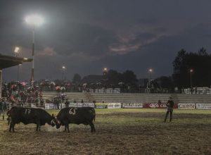 Batailles finale 2013