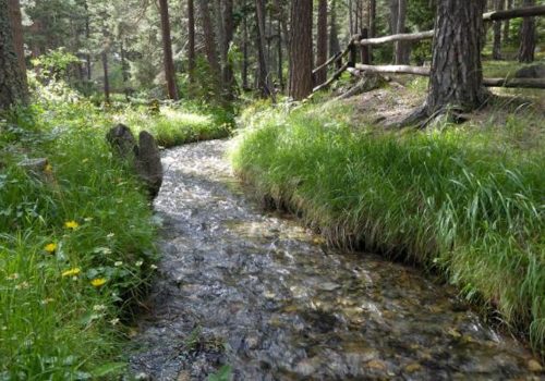 Fiume - torrente - miglioramento fondiario - consorzio