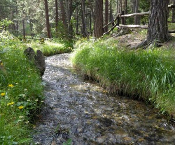 Fiume - torrente - miglioramento fondiario - consorzio