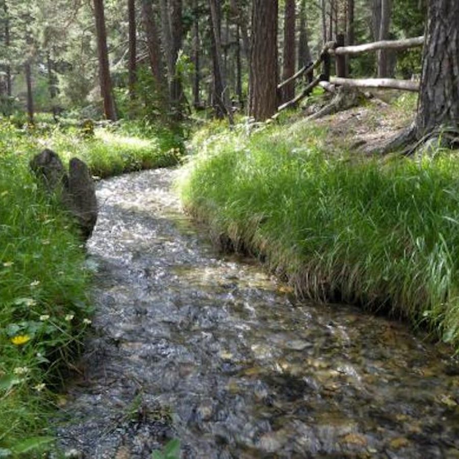 Fiume - torrente - miglioramento fondiario - consorzio