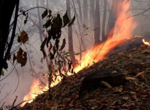 Incendio
