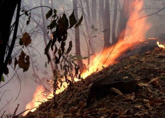 Incendio
