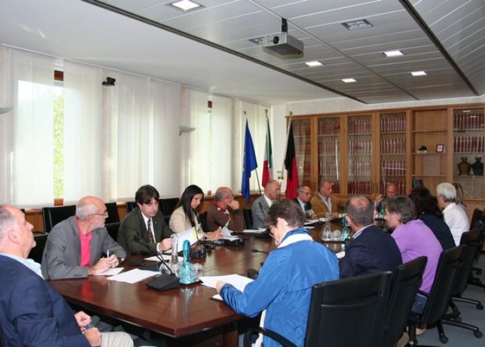 Conferenza capigruppo