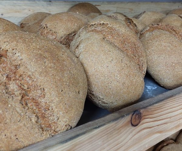 Il pane nero solidale dei giovani di Sarre