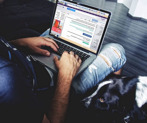 Internet, navigazione, wi-fi