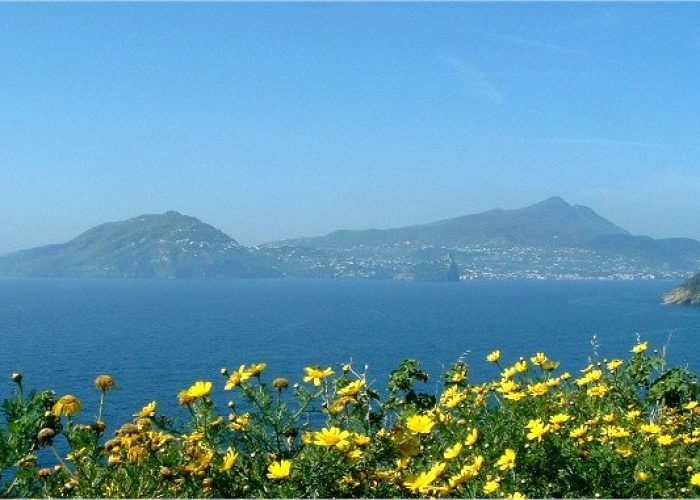 Isola d'Ischia